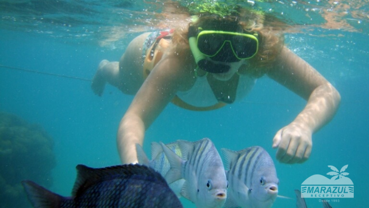 MARACAJAÚ + MERGULHO (CATAMARÃ)