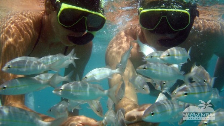 MARACAJAÚ + MERGULHO (CATAMARÃ)